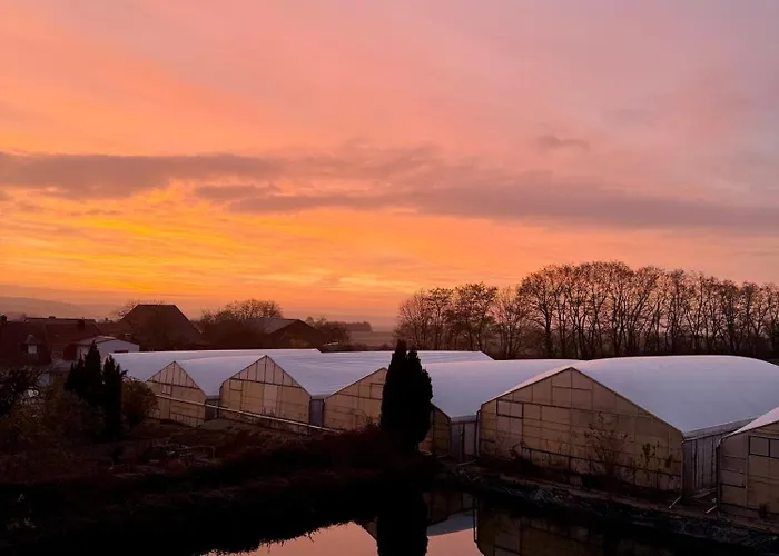 Apartment Lammgarten